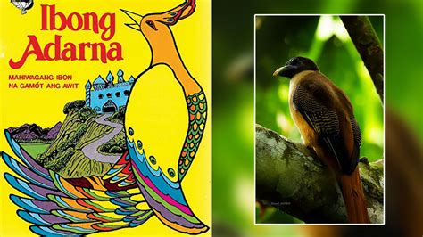  Ang Ibong Adarna: Una Melodia Incantata di Avventura e Destino!