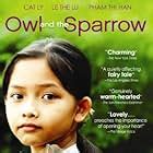  The Owl and the Sparrow:  Discovering Wisdom Through Unexpected Friendship!